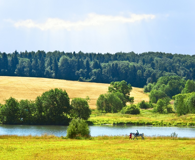 Звенигород русская швейцария
